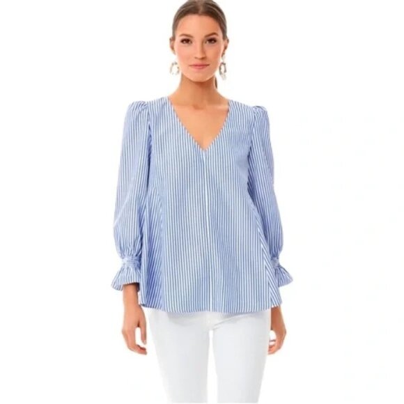 Tuckernuck Easton A-Line Swing Top Blue White Stripe Small - Picture 1 of 9